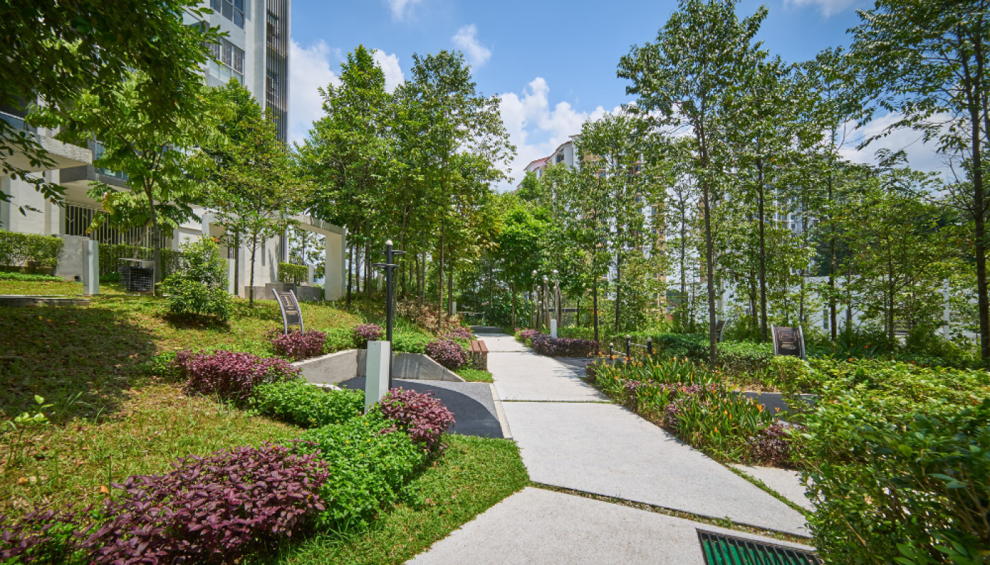 Conception de jardin en 3D : l'expertise de VerTige Design